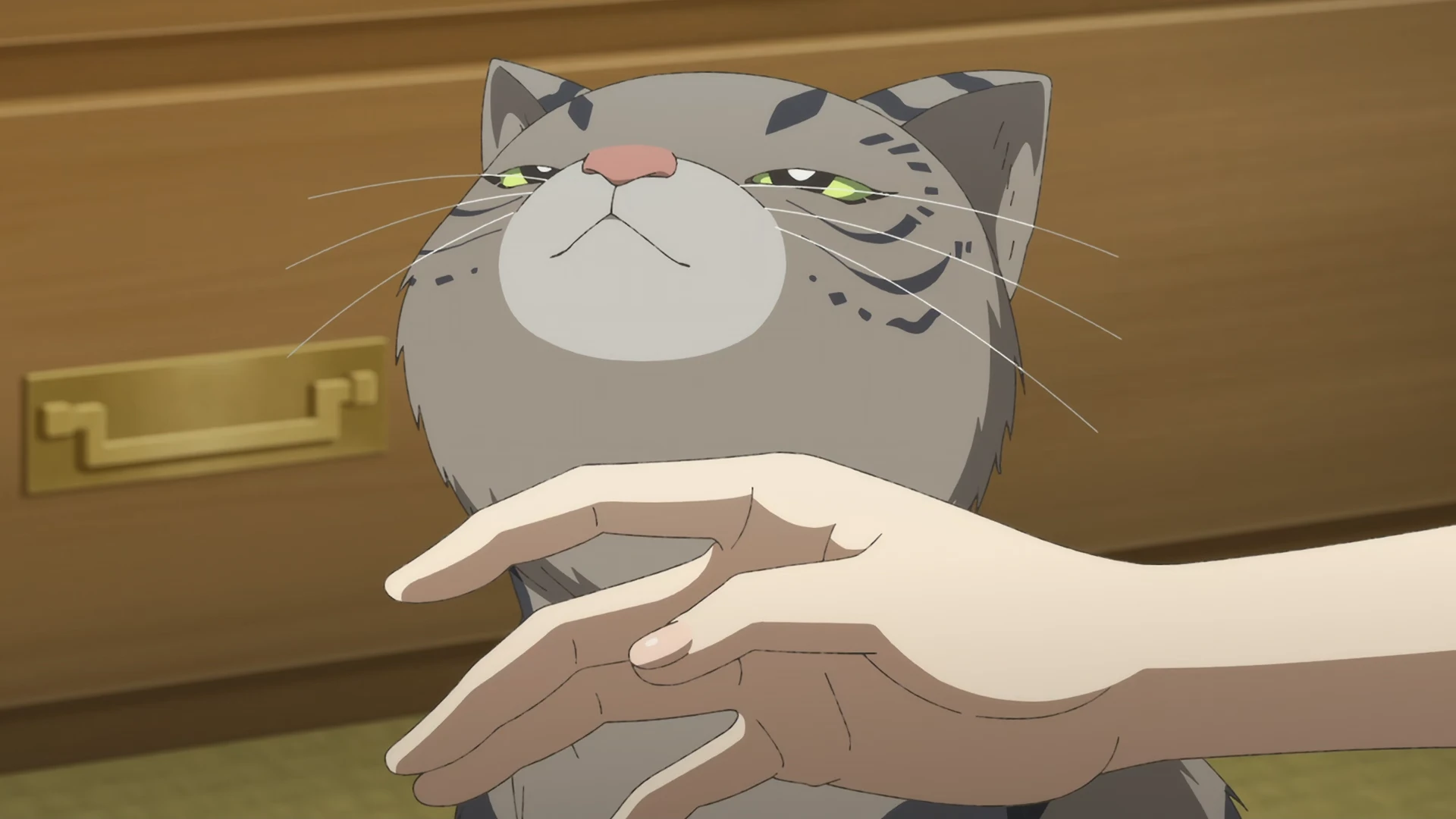 中禅寺老师的灵怪讲义实录 老师会把谜题全都解开的。 第7话