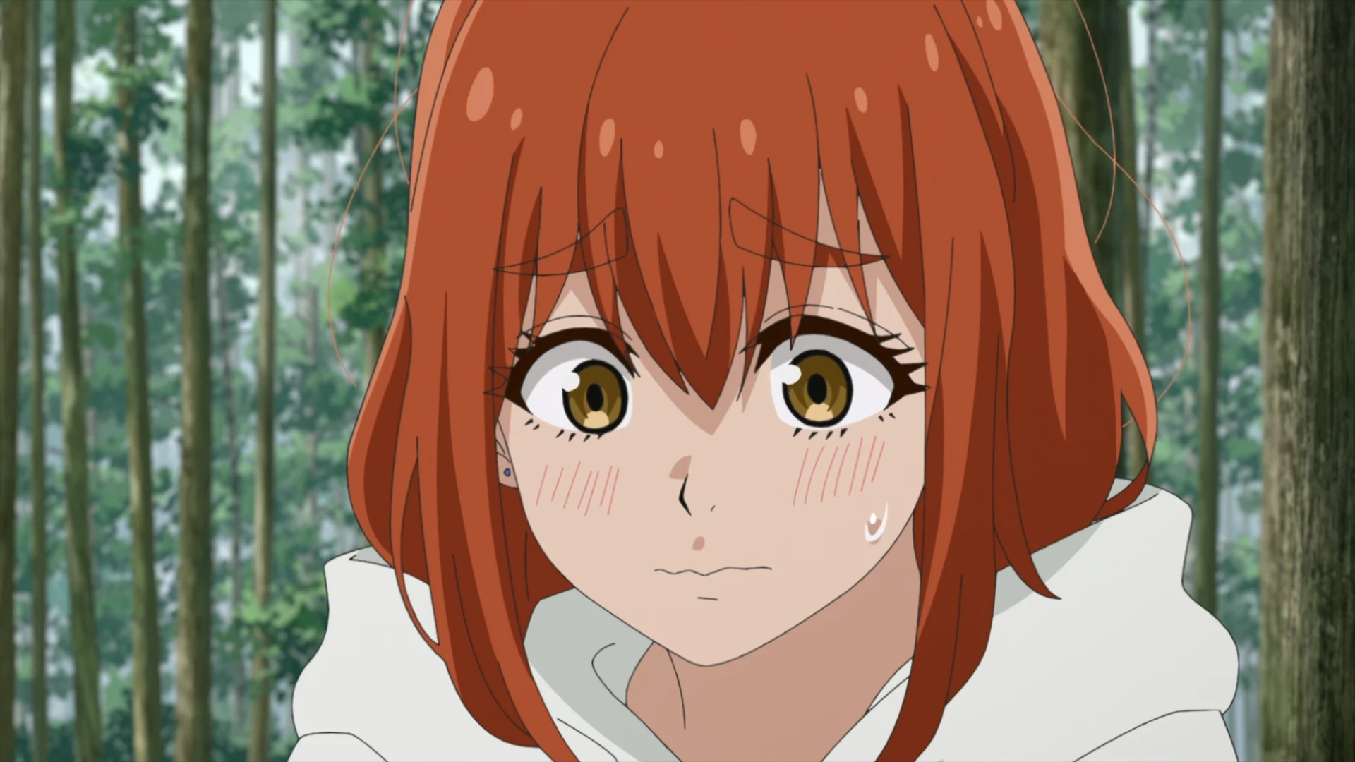 双人单身露营 第18话