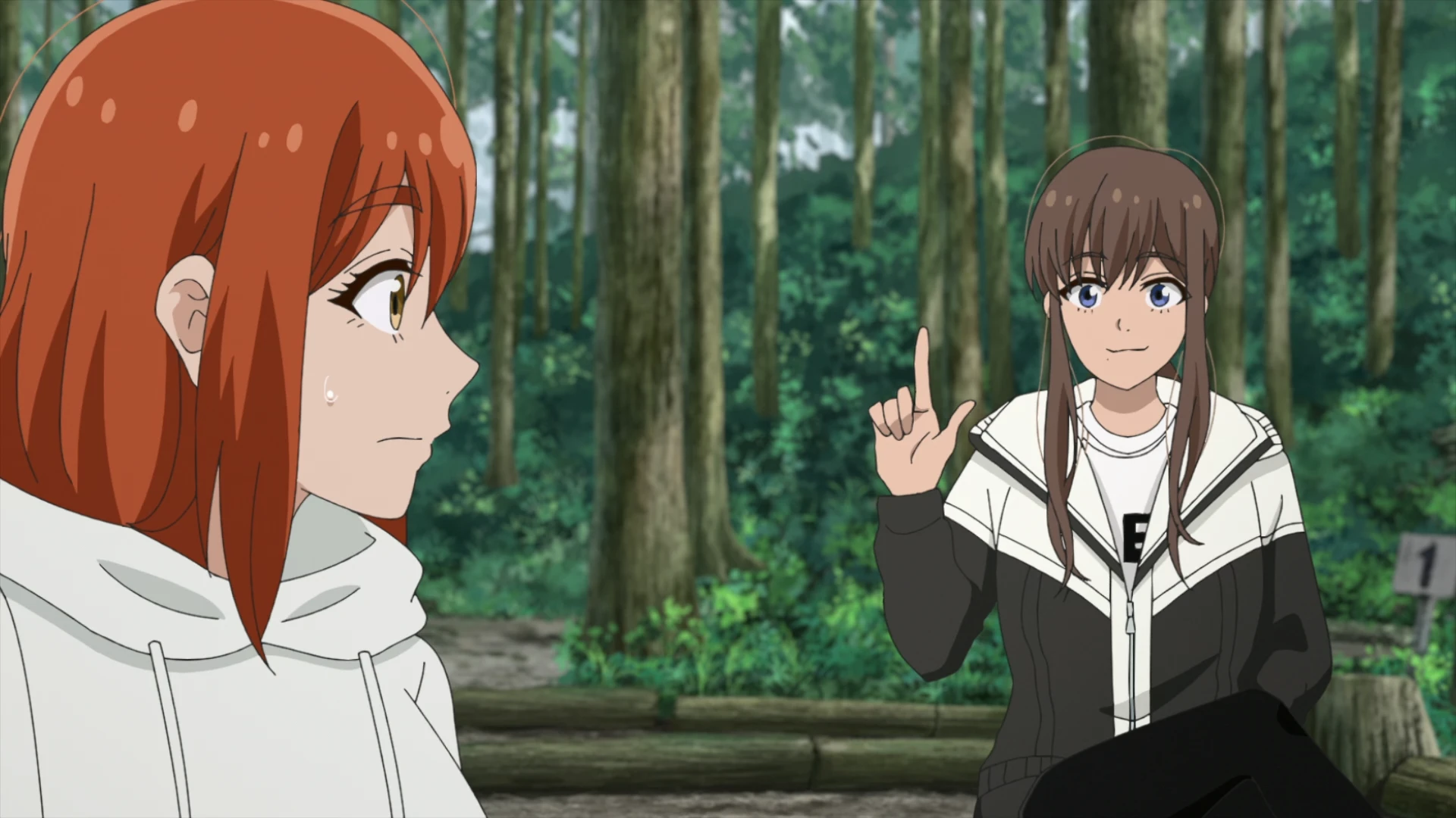 双人单身露营 第18话