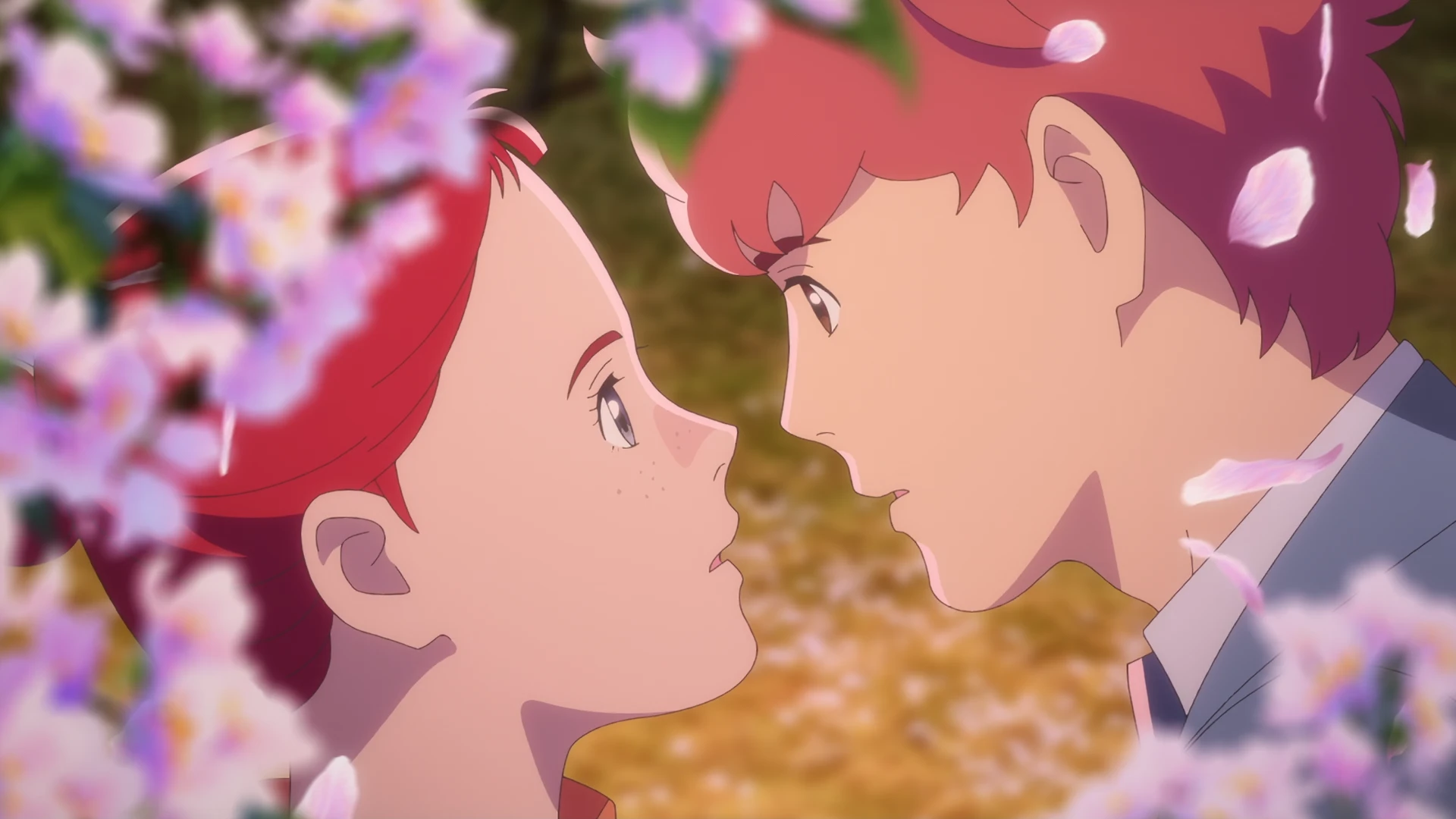 安妮·雪莉 第24话