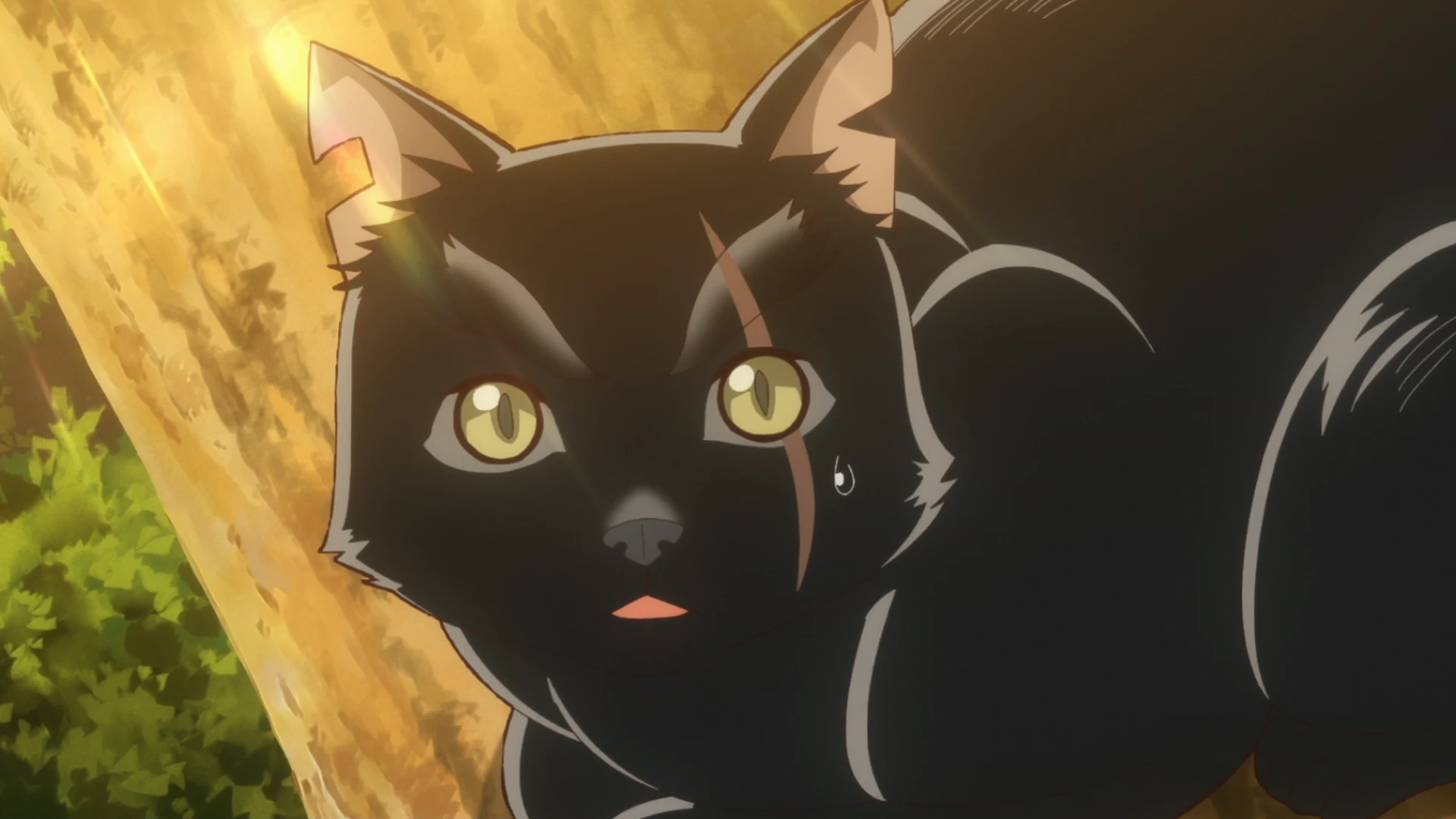猫与龙 第4话