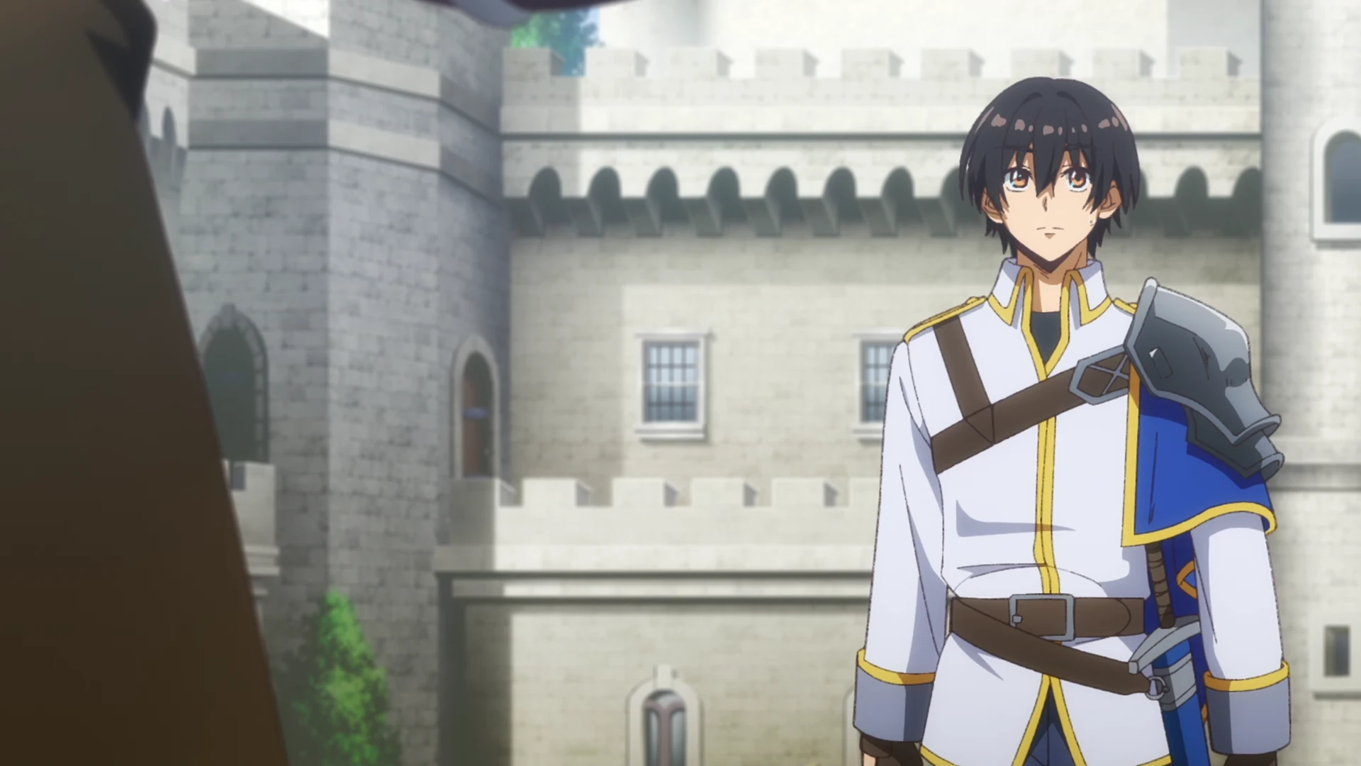 野生的大魔王出现了！ 第11话