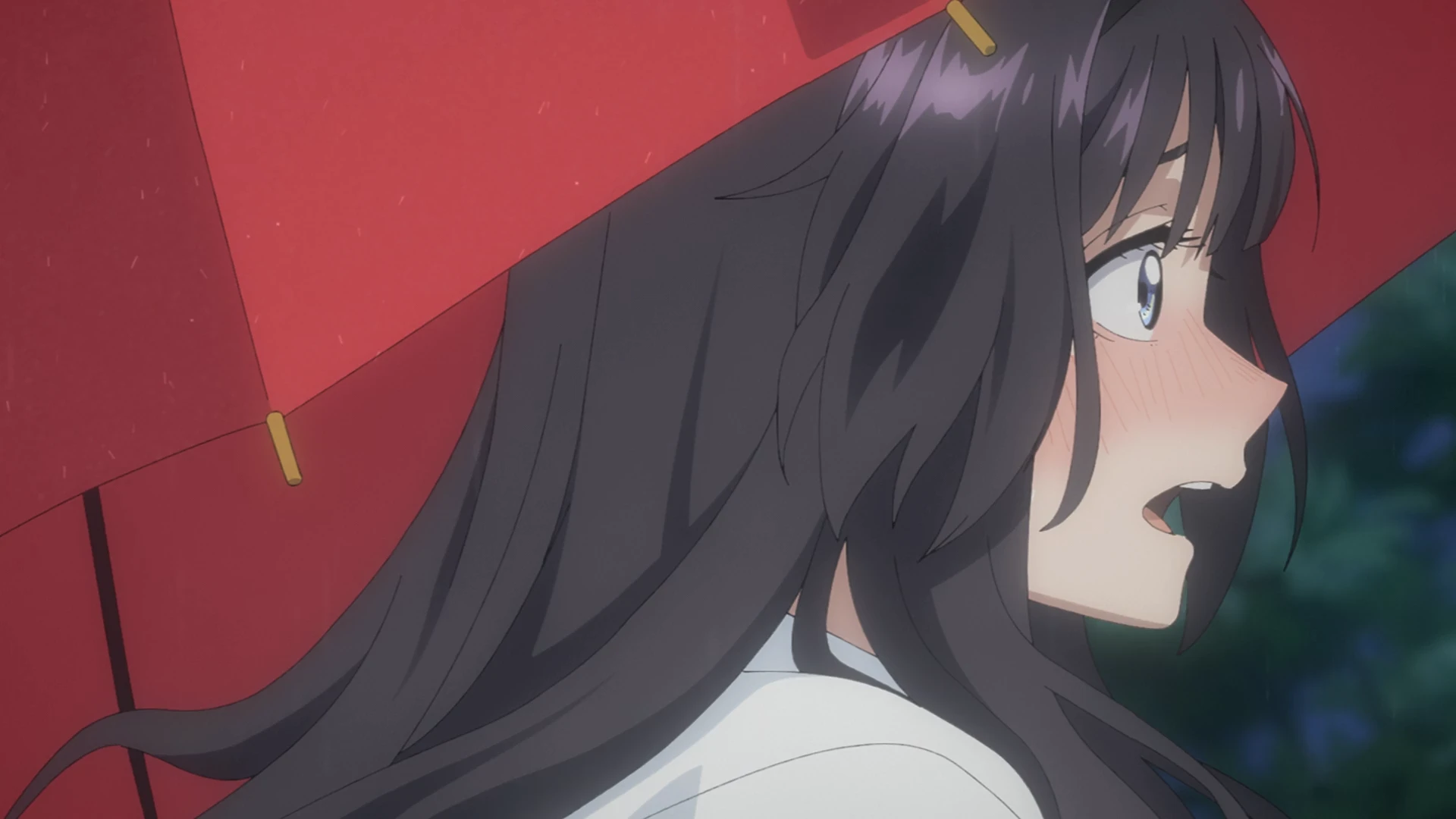 薰香花朵凛然绽放 第13话