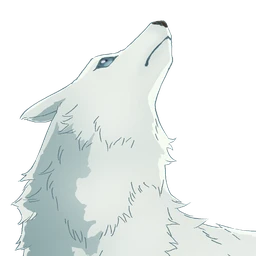 Gin Ookami