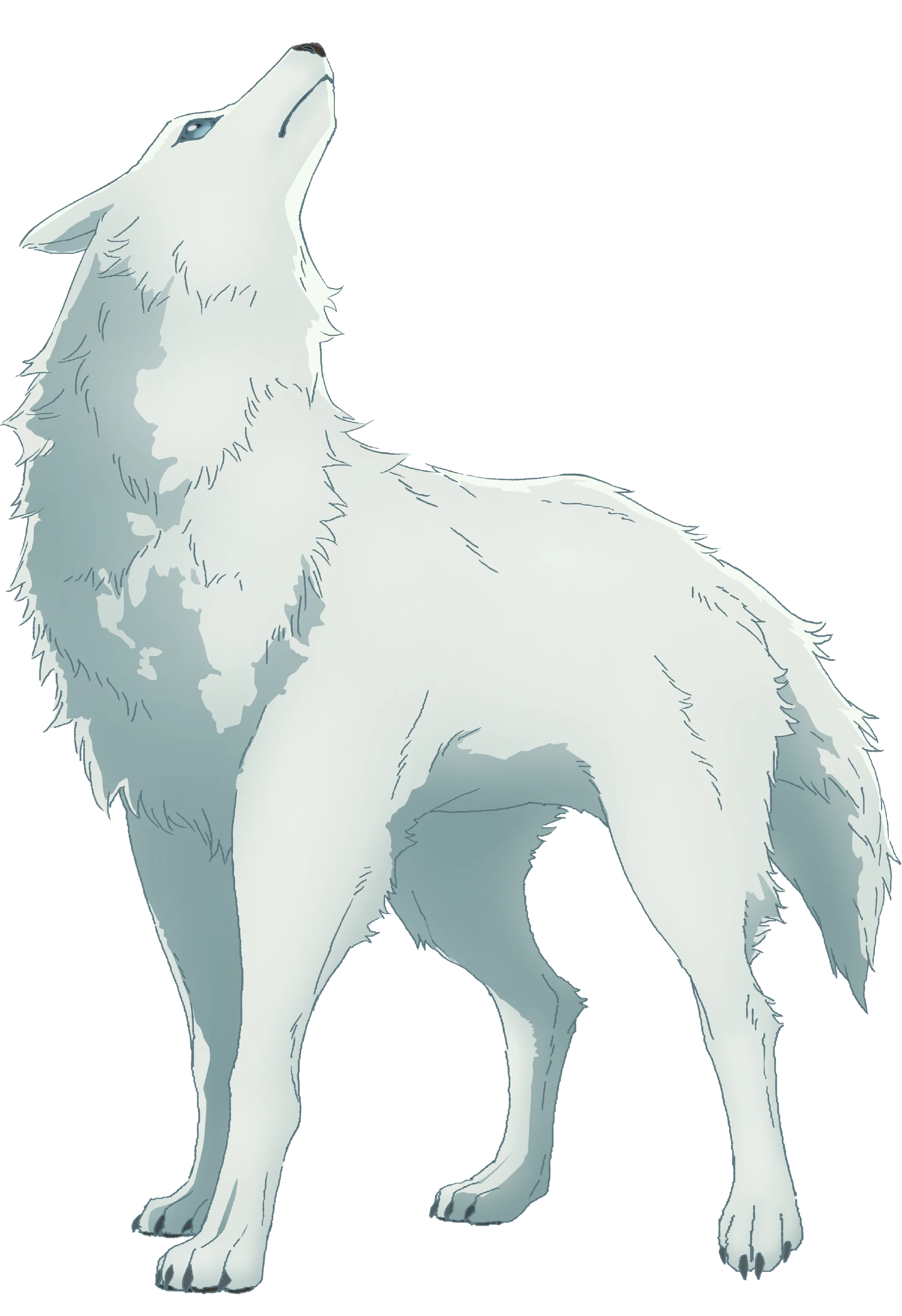 Gin Ookami
